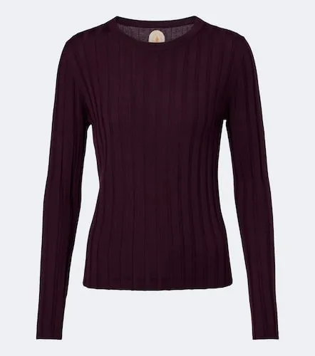 Ribbed-knit virgin wool sweater - Jardin des Orangers - Modalova