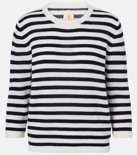 Pullover in lana e cashmere - Jardin des Orangers - Modalova
