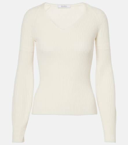 Gioiosa ribbed-knit cotton sweater - Max Mara - Modalova