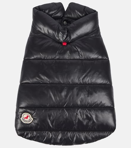 Poldo Dog Couture dog coat - Moncler - Modalova