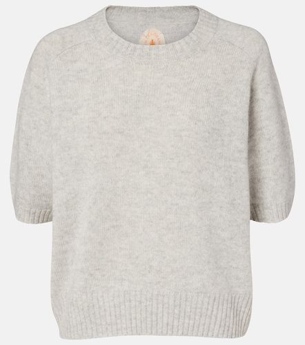 Pullover aus Kaschmir - Jardin des Orangers - Modalova