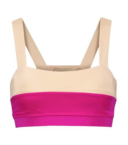 Lanston Sport Elysian sports bra - Lanston Sport - Modalova