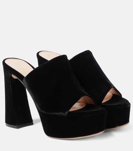 Holly velvet platform mules - Gianvito Rossi - Modalova