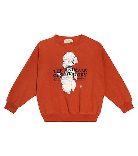 Sudadera Big Bear de algodón estampada - The Animals Observatory - Modalova