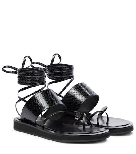 Brooklyn leather thong sandals - Paris Texas - Modalova