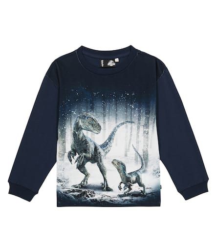 Molo Rube printed cotton sweatshirt - Molo - Modalova