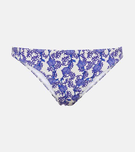 Isabel Marant Saly bikini bottoms - Isabel Marant - Modalova