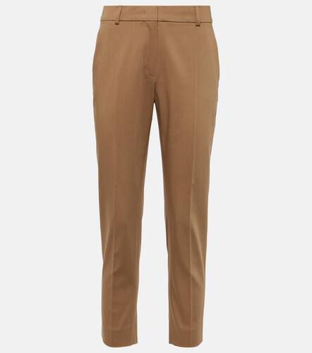 Lince cropped cotton straight pants - Max Mara - Modalova