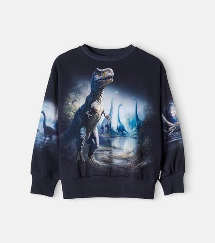 Sudadera Mattis de jersey de algodón estampada - Molo - Modalova
