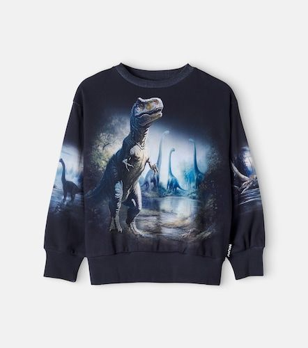 Sudadera Mattis de jersey de algodón estampada - Molo - Modalova