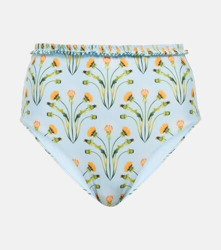 Nopal Diente de LeÃ³n bikini bottoms - Agua by Agua Bendita - Modalova