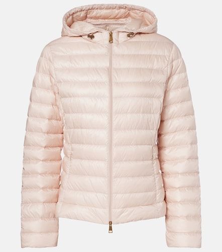 Moncler Igelhood down jacket - Moncler - Modalova