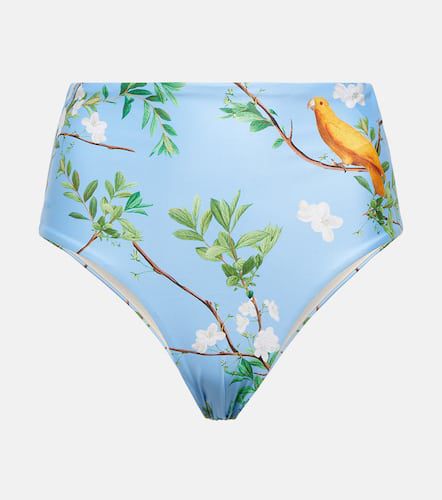 Magenta Aves printed bikini bottoms - Agua by Agua Bendita - Modalova