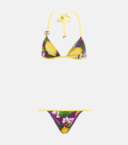 Bikini a triangolo con stampa - Dolce&Gabbana - Modalova