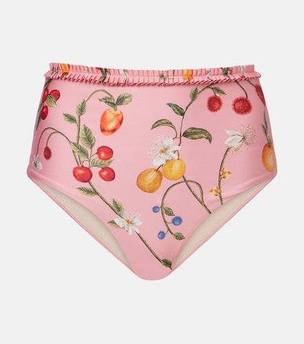 Braga de bikini Nopal estampada - Agua by Agua Bendita - Modalova