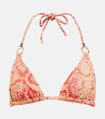 Heidi Klein Masai Mara bikini top - Heidi Klein - Modalova