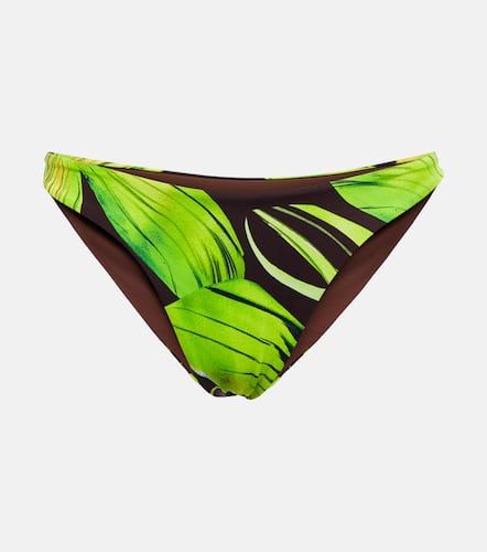 Scoop printed bikini bottoms - Louisa Ballou - Modalova