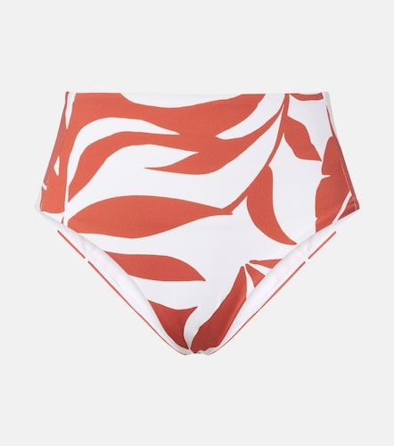 Stilla printed bikini bottoms - Max Mara - Modalova