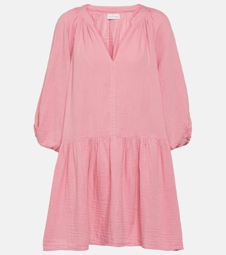 Velvet Robe Nica en coton - Velvet - Modalova