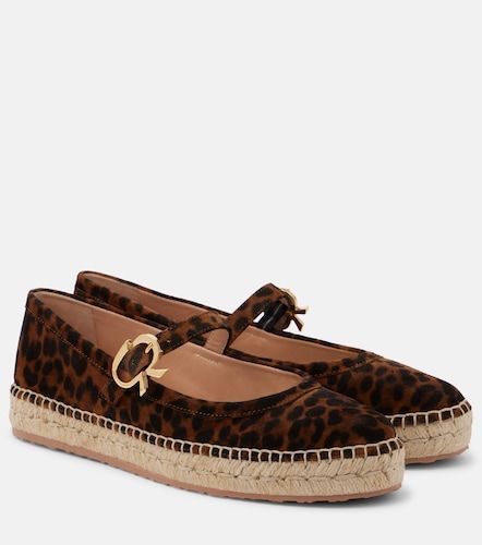 Elda leopard-print suede espadrilles - Gianvito Rossi - Modalova