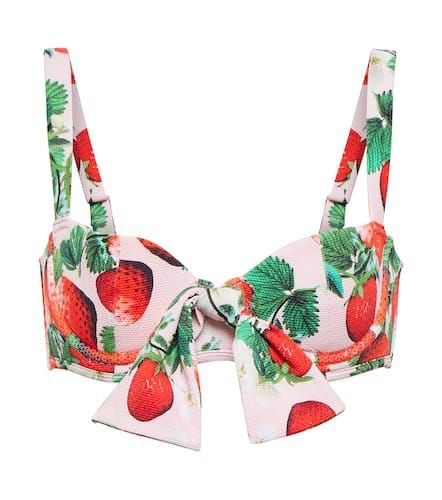 Clara printed bikini top - Alexandra Miro - Modalova