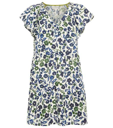 Velvet Ivy floral cotton minidress - Velvet - Modalova