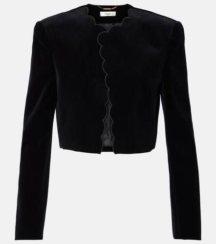 ChloÃ© Spencer scalloped cotton velvet jacket - Chloe - Modalova