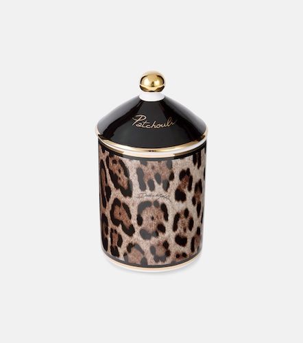 Candela profumata Patchouli - Dolce&Gabbana Casa - Modalova