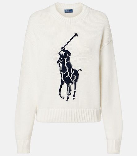 Pullover Big Pony in cotone con intarsi - Polo Ralph Lauren - Modalova