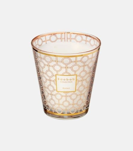 Duftkerze Women Medium - Baobab Collection - Modalova