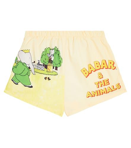 Puppy printed swim shorts - The Animals Observatory - Modalova