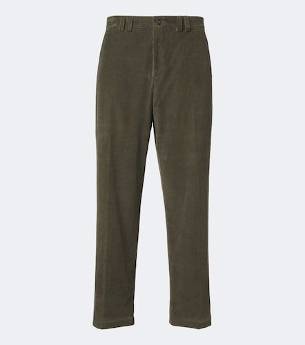 Pantaloni in velluto a coste di cotone - Canali - Modalova