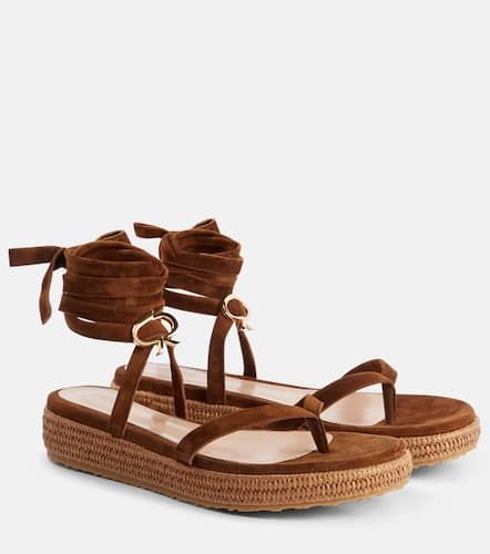 Espadrille-Sandalen aus Veloursleder - Gianvito Rossi - Modalova