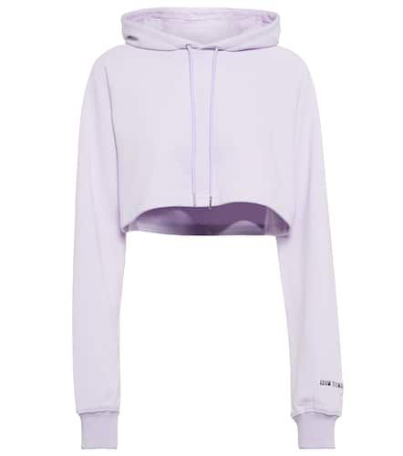 Cropped cotton-blend hoodie - Adam Selman Sport - Modalova