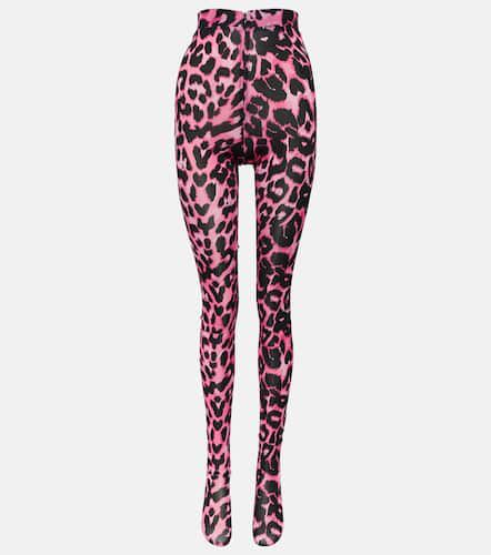 Cadie leopard-print tights - Alex Perry - Modalova