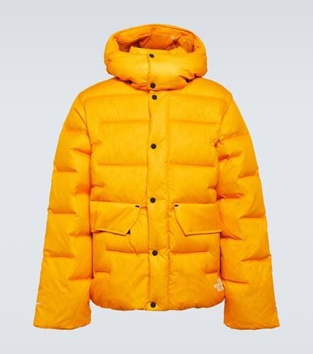 The North Face RMST Sierra parka - The North Face - Modalova