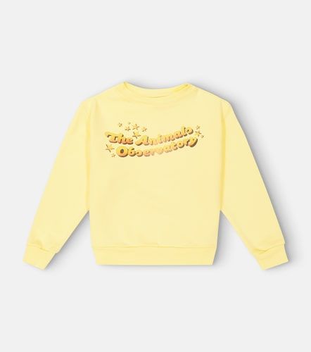 Sudadera Bear de jersey de algodón - The Animals Observatory - Modalova