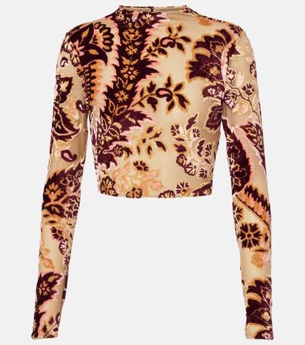 Paisley tulle and velvet jacquard crop top - Etro - Modalova