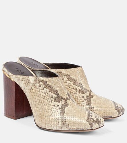 Ambre snake-effect leather mules - Chloe - Modalova