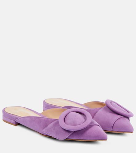 Gianvito Rossi Suede ballet flats - Gianvito Rossi - Modalova