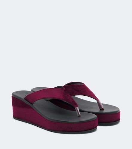Charys velvet platform thong sandals - Ancient Greek Sandals - Modalova