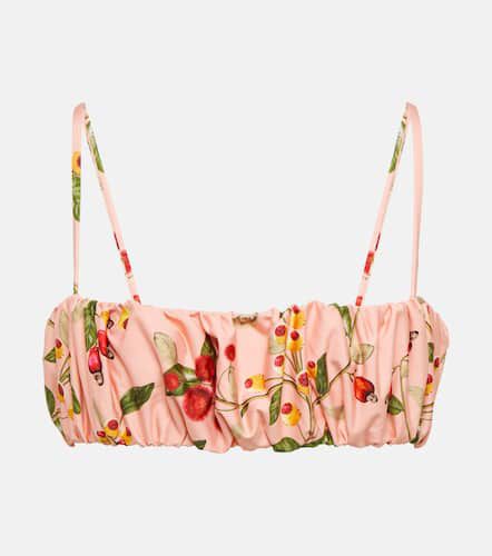 Eneldo printed bikini top - Agua by Agua Bendita - Modalova