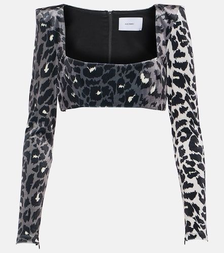 Alex Perry Cropped Top aus Samt - Alex Perry - Modalova
