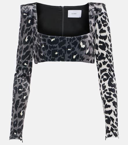 Leopard-print velvet crop top - Alex Perry - Modalova