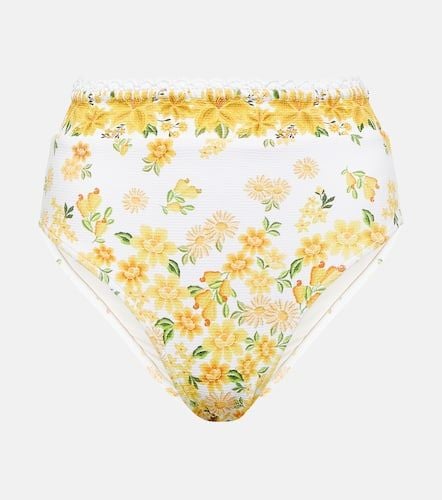 Azaleia floral printed bikini bottoms - Farm Rio - Modalova