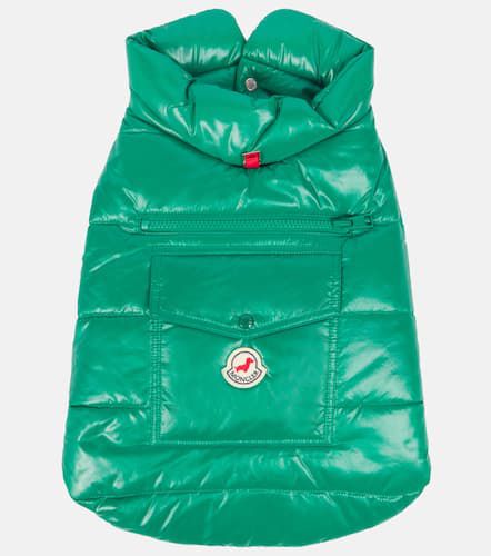 Abrigo Poldo Dog Couture - Moncler - Modalova