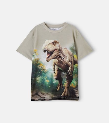 Camiseta Riley de jersey de algodón estampada - Molo - Modalova