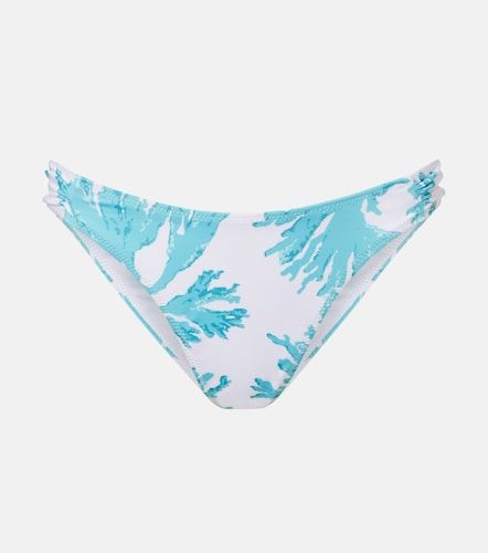 Giulia printed bikini bottoms - Alexandra Miro - Modalova