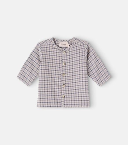 Bebé - camisa Shelby a cuadros - Wheat - Modalova