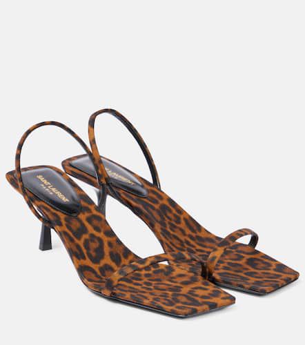 Jaspe 55 leopard-print grosgrain sandals - Saint Laurent - Modalova